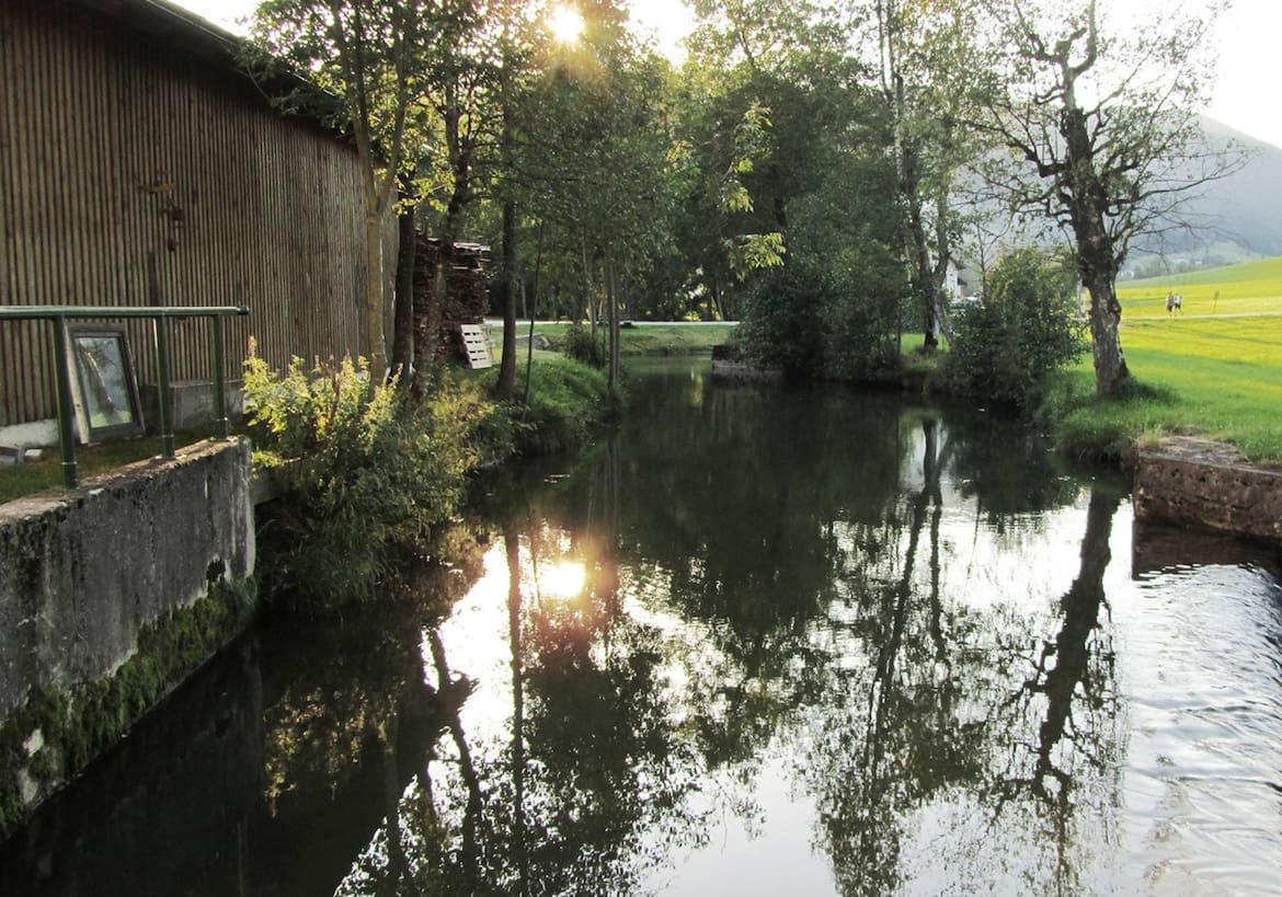 Zeller Anke - Mühlbach der Erlachmühle