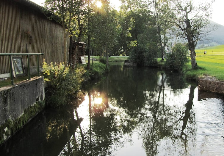 Zeller Anke - Mühlbach der Erlachmühle