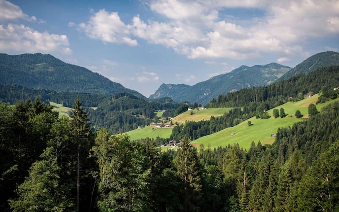 Tirol, Wandern, Schmetterlinge, Brandenbergtal