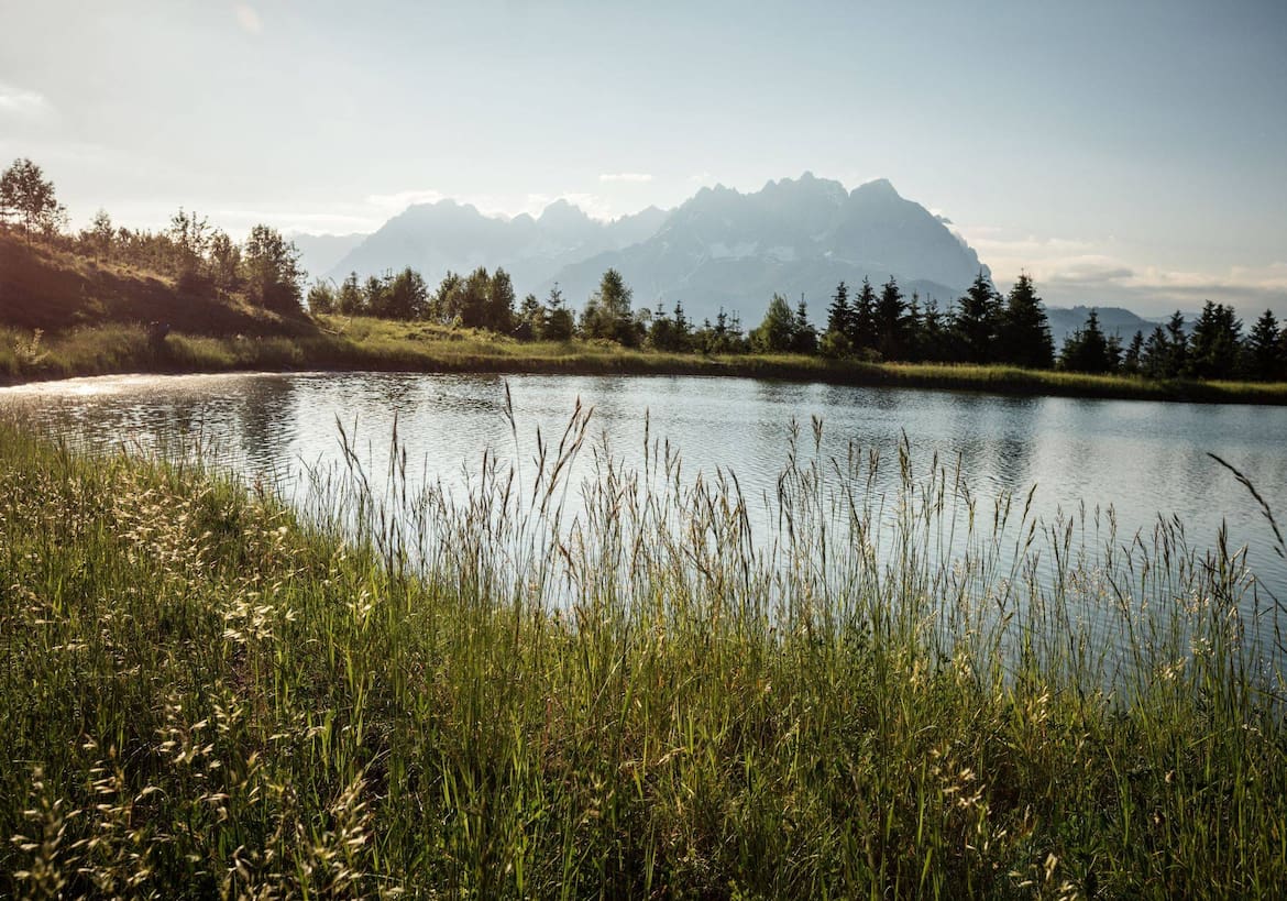 Kitzbüheler Alpen, Sommerfrische