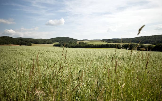 Ausflug, Burgenland, Südburgenländischen Hügel