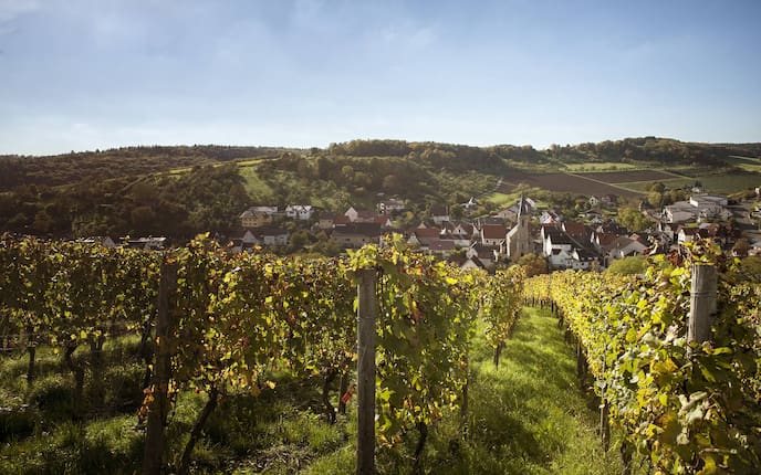 Weinberge, Gamburg, Taubertal, Taubertal Ausflugsziele, Ausflug Taubertal