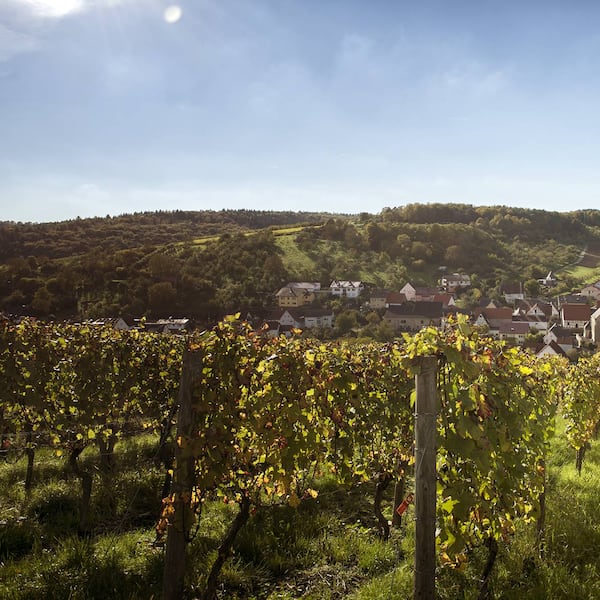 Weinberge, Gamburg, Taubertal, Taubertal Ausflugsziele, Ausflug Taubertal