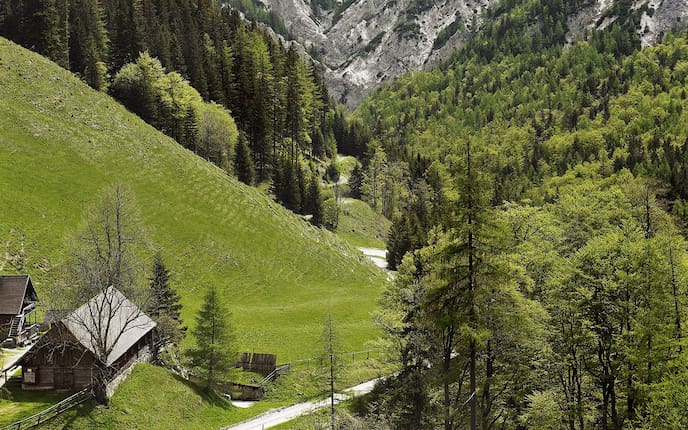 Tragössertal (Bild: Philipp Horak).
