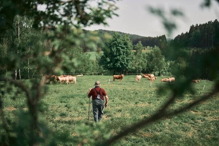 Ein Bauer steht in der Kuhweide.