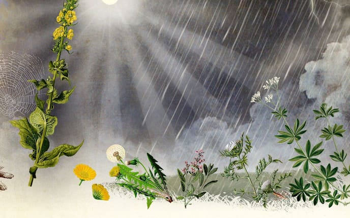 Illustration; Aprilwetter; Im April ist von Sonnenschein bis Schneefall alles möglich.