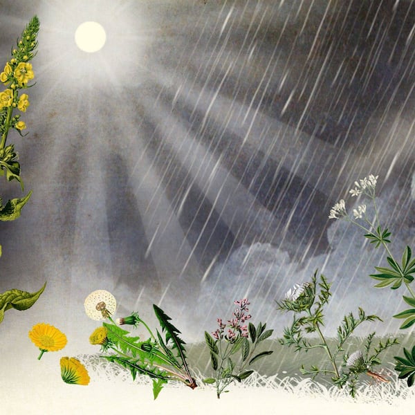 Illustration; Aprilwetter; Im April ist von Sonnenschein bis Schneefall alles möglich.