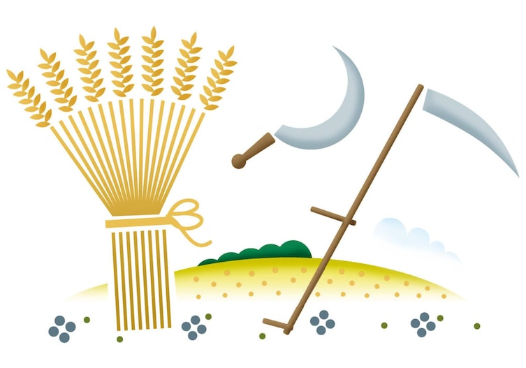 Brauchtum, Erntedankbräuche, Österreich, Garben