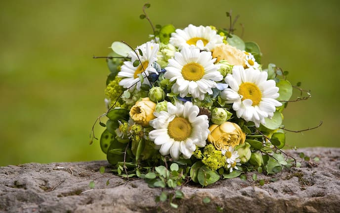 Brautstrauß mit Margeriten und gelben Rosen (Bild: Mauritius Images)