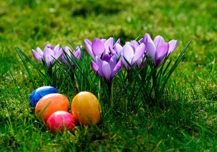 Bunte Ostereier unter Frühlingsblumen