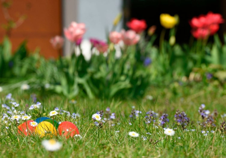 Ostereier können auch in der Wiese zwischen bunten Blumen gut versteckt werden.
