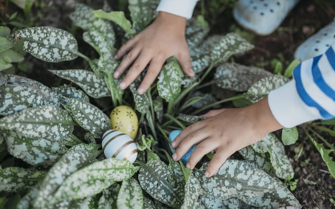 Kinderhände die Ostereier in einem Strauch finden