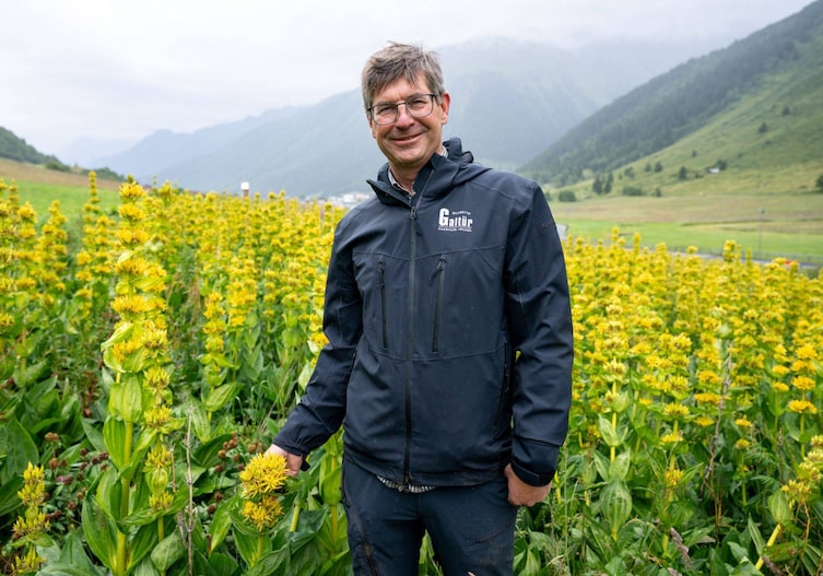 Galtür, Enzian, Enzianfeld