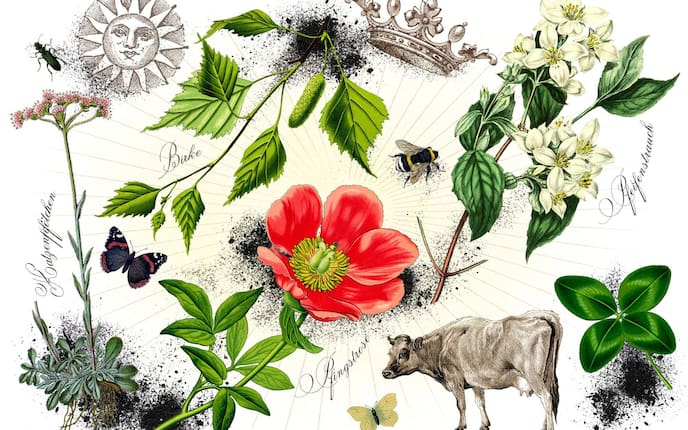 Pfingsten, Pfingstbräuche, Feiertag