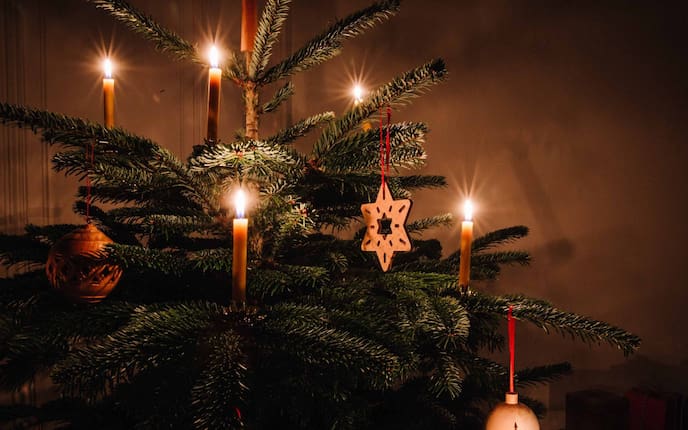 Der erste Christbaum bei den Waldbauern - eine Weihnachtsgeschichte von Peter Rosegger (Foto: Doris Himmelbauer)