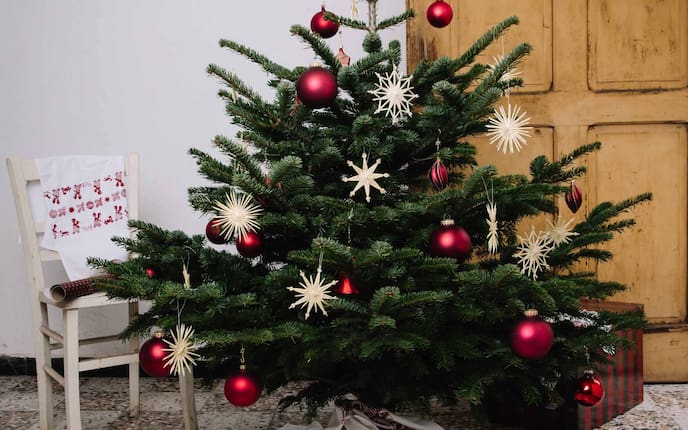 Christbaum, Brauch, Weihnachten
