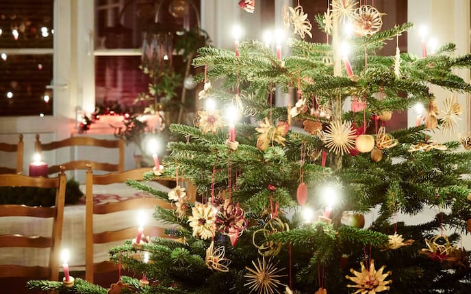 Geschmückter Christbaum, Heilig Abend, Weihnachten, Servus