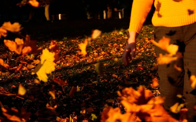 Herbst, Wind, Föhn, Sturm