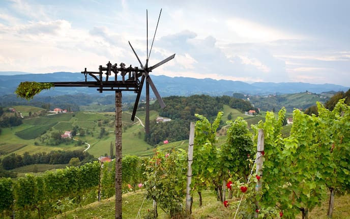 Brauchtum, Klapotetz, Wein