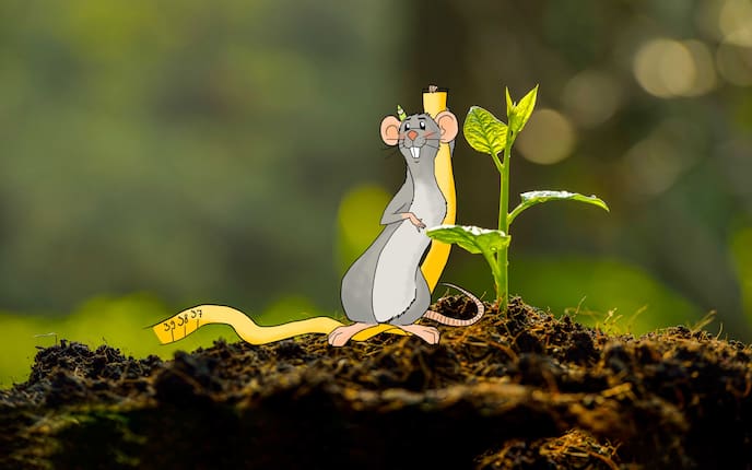 Servus Kinder, Test, Wachsen