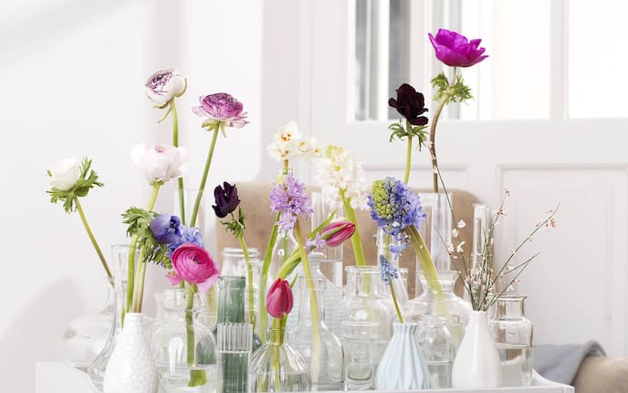 Frühlingsblumen im Glas, kleine Vasen, Glasvasen, Dekoidee, Dekotipp