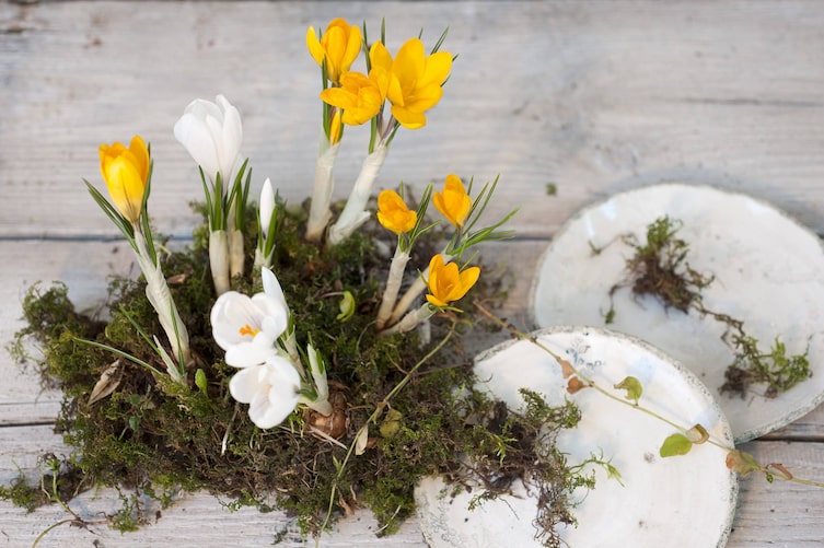 Dekoidee: Moos-Krokus-Arrangement (Foto: Katharina Gossow)