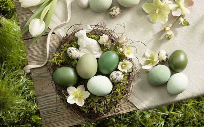 Ideen für Osternester: Grüne Eier (Bild: Eisenhut & Mayer)