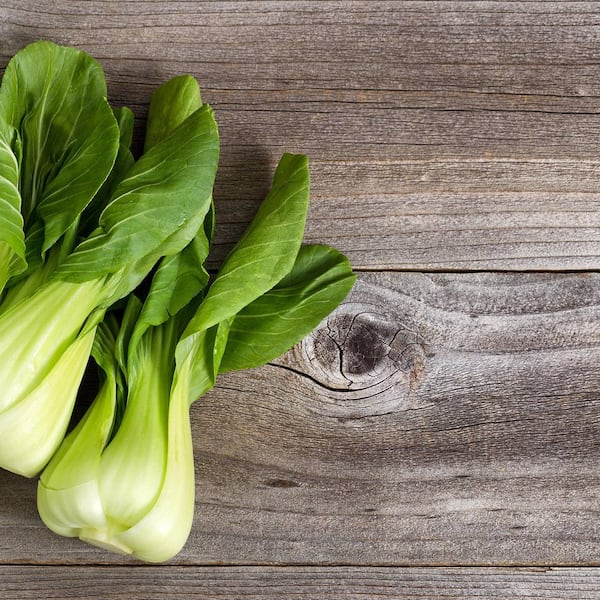 Chinakohl, Saisonalität, Winter, Obst, Gemüse, Servus