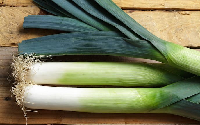 Lauch, Gemüse. Servus