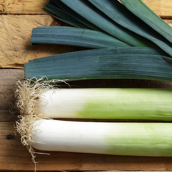 Lauch, Gemüse. Servus