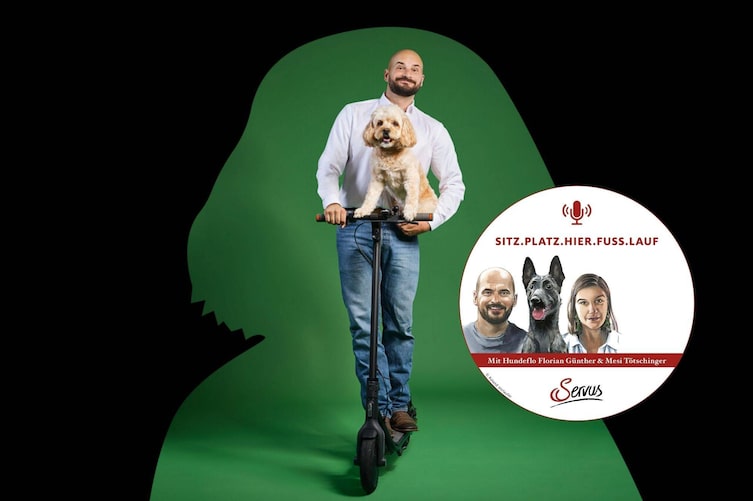 Hundeflo, Live-Event, Bühnenshow, Hundepodcast