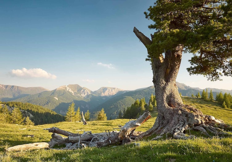 Landschaftsfotografie von Peter Podpera (Foto: Peter Podpera)