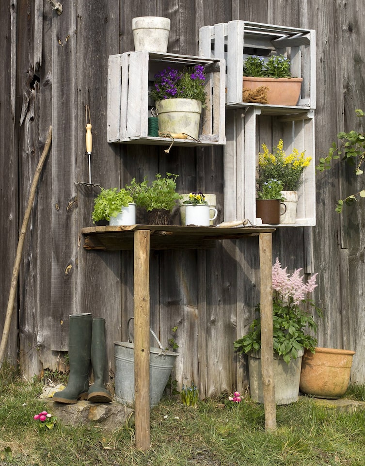Regal aus Obstkisten (Bild: Michaela Gabler)