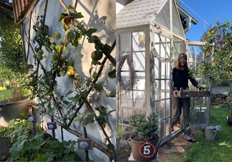 Silvia Hardt geht aus ihrem Gewächshaus - man sieht einen Apfelbaum.