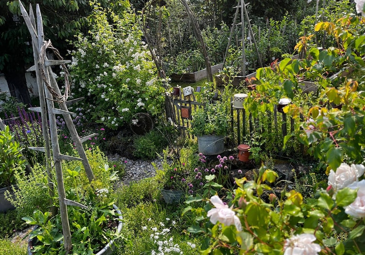 Bild von einem Naturgarten mit Gemüsebeet