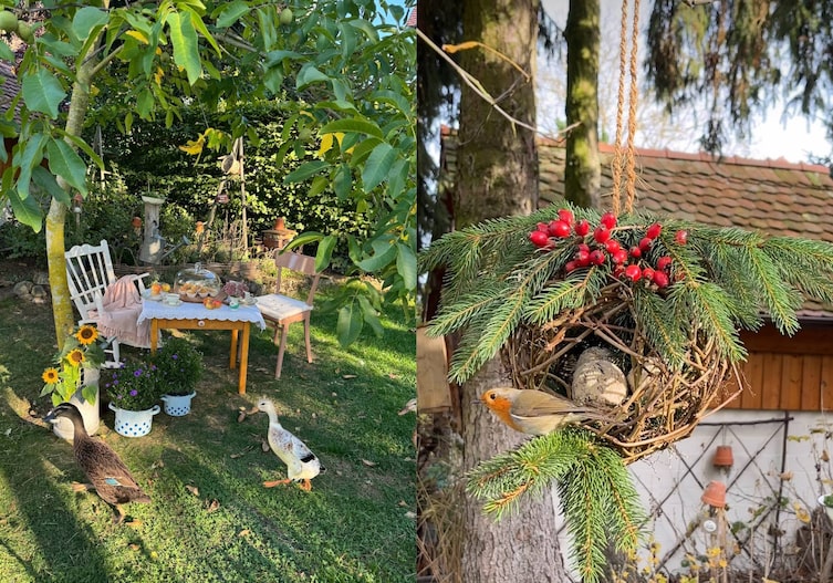 Tiere im Naturgarten - Vögel und Enten