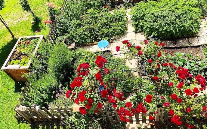 Bauerngarten, Garten, Rosenbogen, Bauerngarten anlegen