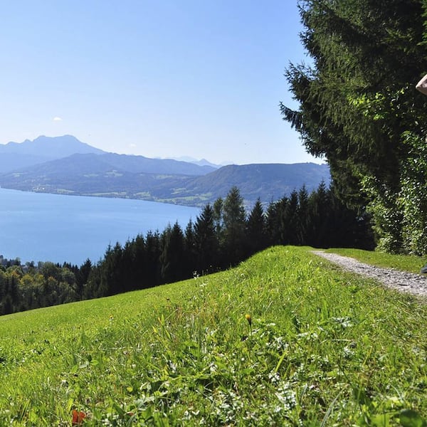 See im Sommer, August, Bauernregeln