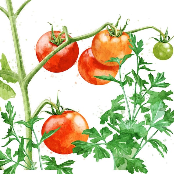 Gartenarbeit, PDF zum Herunterladen