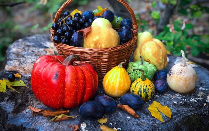 Kürbis, Zwetschken, Ernte, Weintrauben, Korb mit Herbstgemüse und Obst