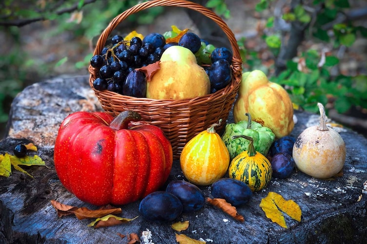 Kürbis, Zwetschken, Ernte, Weintrauben, Korb mit Herbstgemüse und Obst