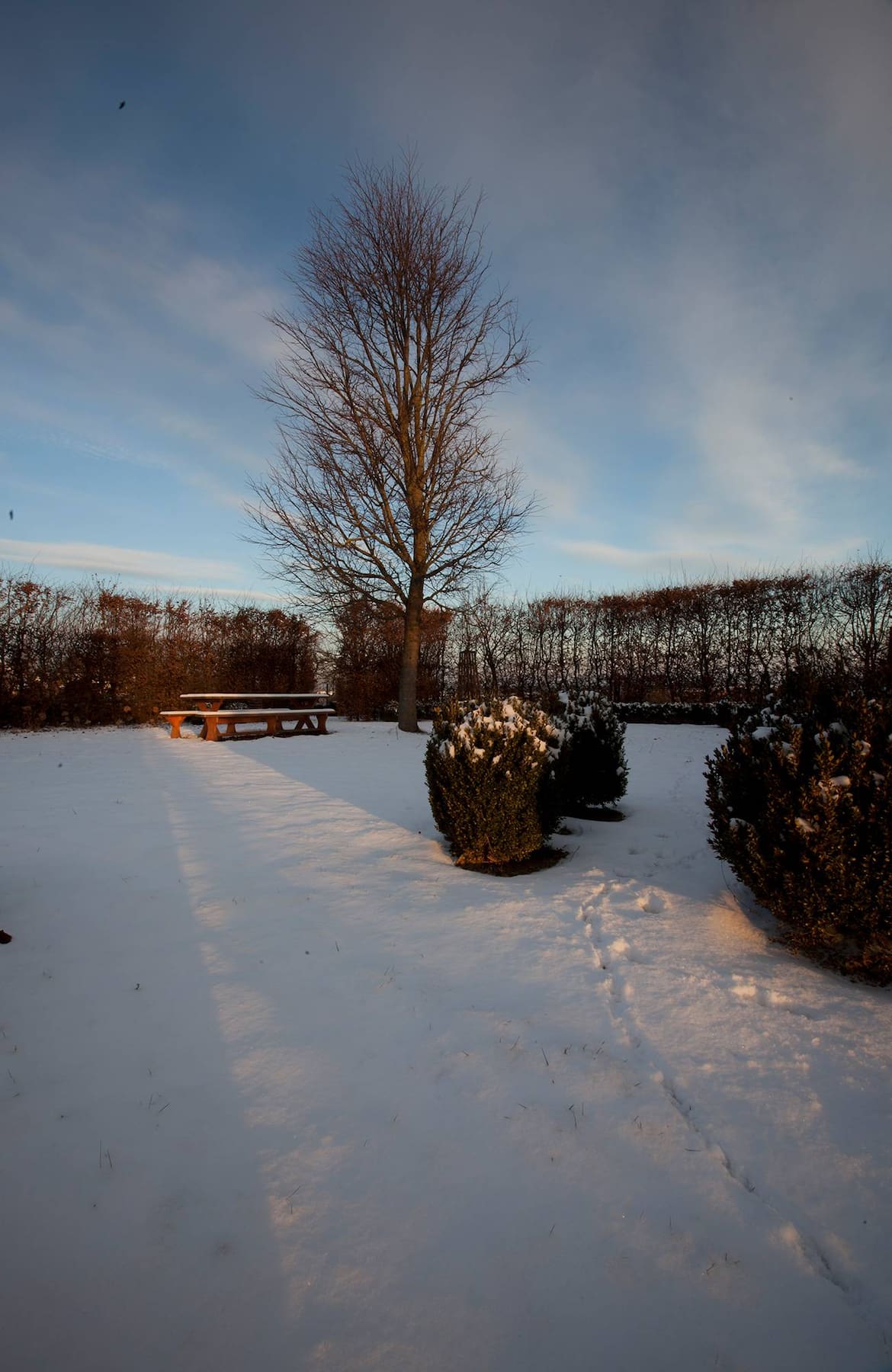 Garten, Gartenbesuch, Christian Bis, Barockgarten