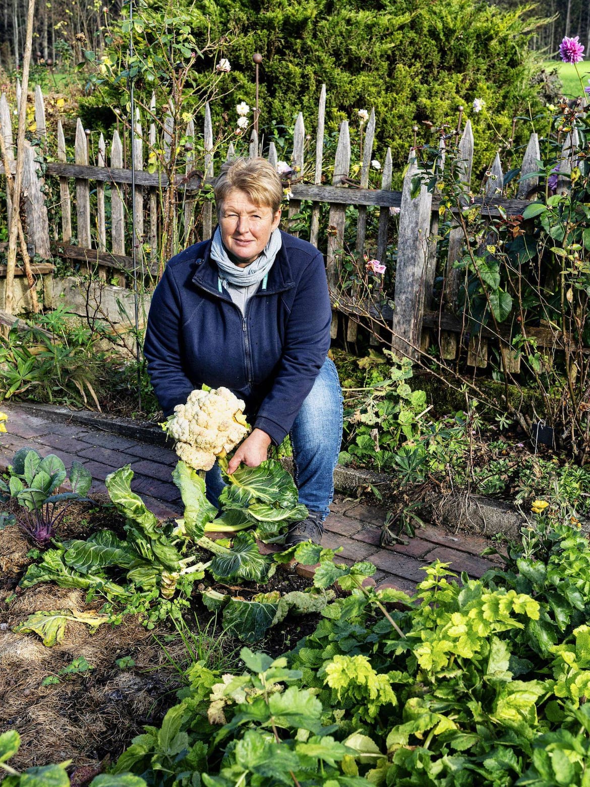 Letzter Karfiol, frisch aus dem Bauerngarten: Gerlinde Berger wird ihn gleich zu Mittag servieren.