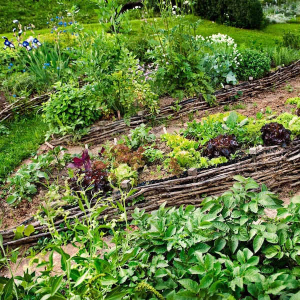 Bild: Philip Platzer