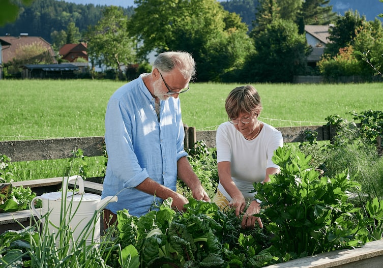 Pärchen bepflanzt gemeinsam ein Hochbeet
