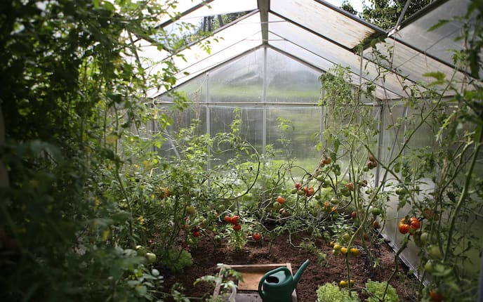 Garten, Glashaus, Selbermachen, Isolierung, Servus