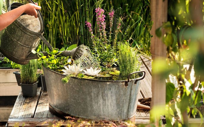 Erfahren Sie, wie man einen entzückenden Miniteich selbst anlegt.