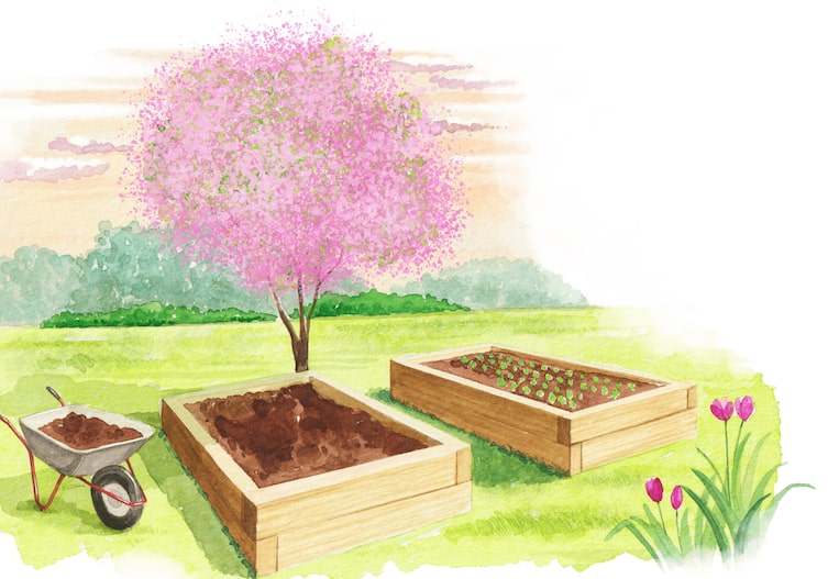 Illustration von einem Hochbeet