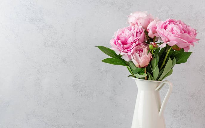 Rosa Pfingstrose in der Vase, Tipps für lange Haltbarkeit
