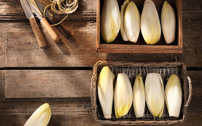 Garten, Pflanzenporträt, Gemüse des Monats, Chicorée